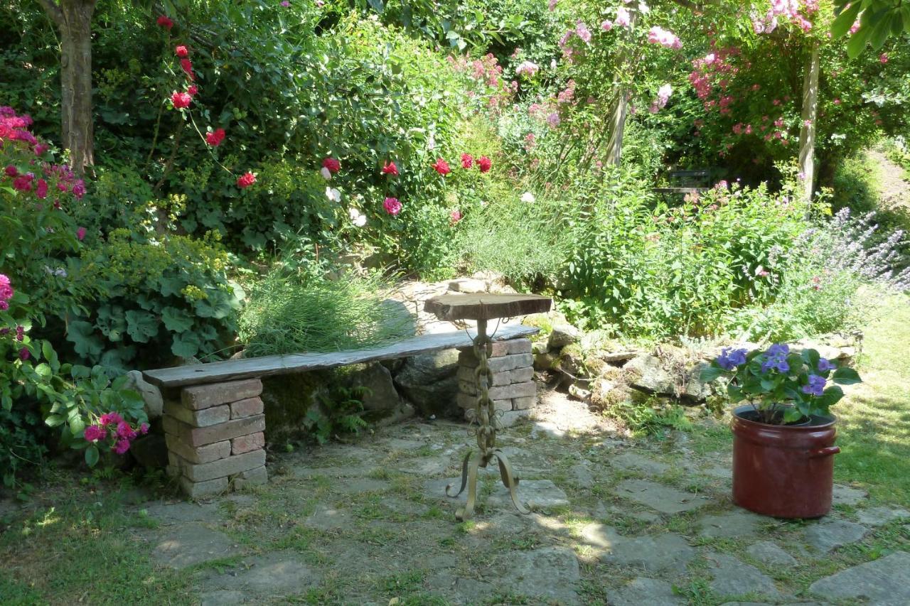 Ferienwohnung Degner Schönberg エクステリア 写真